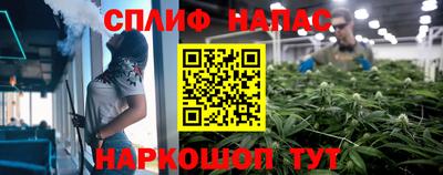 амф Можга