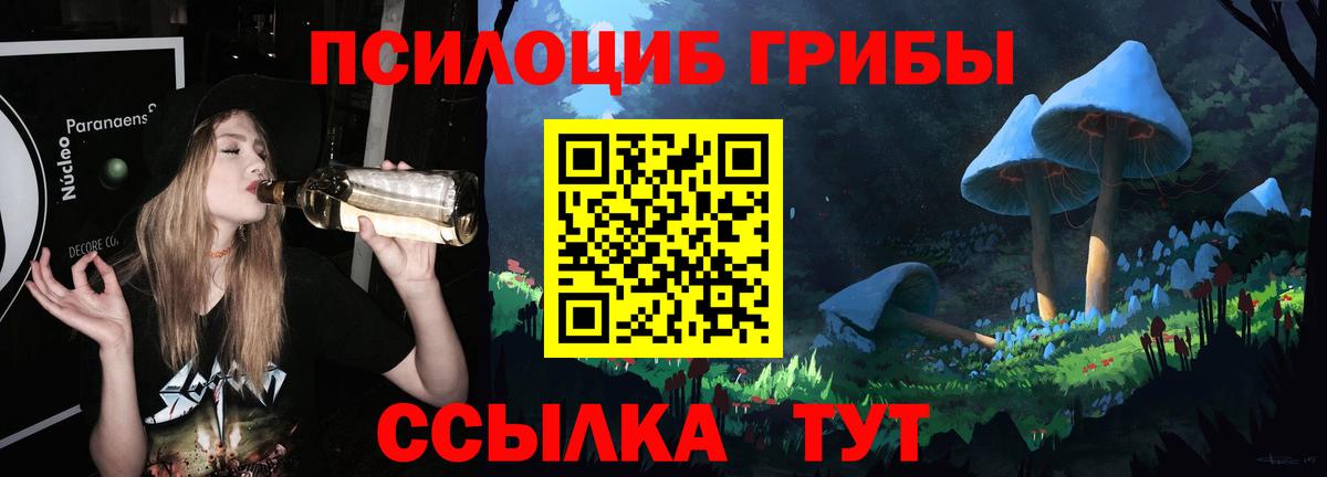 Псилоцибиновые грибы Cubensis  Вход с VPN  Сосновый Бор 